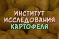 Институт исследования картофеля