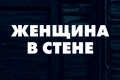 Женщина в стене